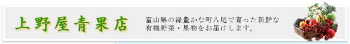 �x�R���������̗L�@��؁E�ʕ��̔̔��X